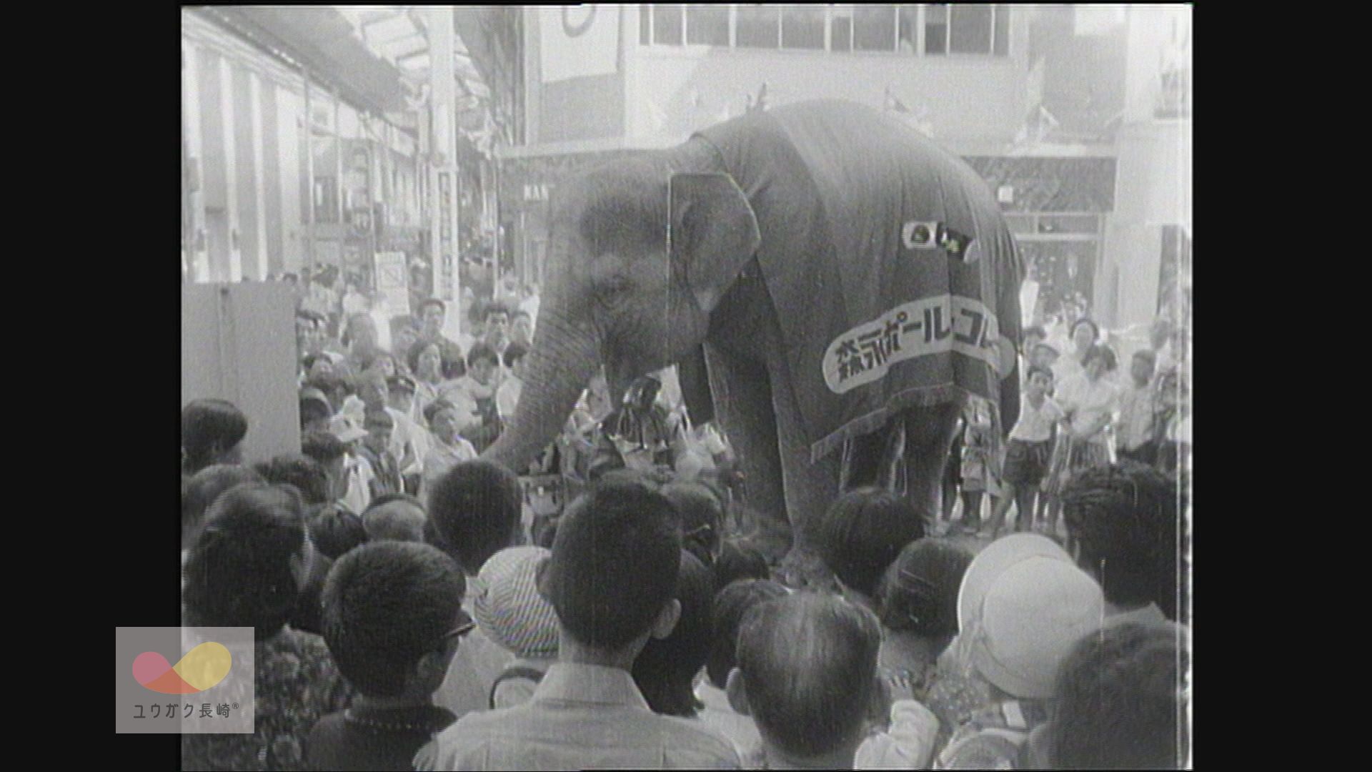 昭和37年（1962年）【貴重映像】「サーカスのゾウ、浜町を行く！」（9 