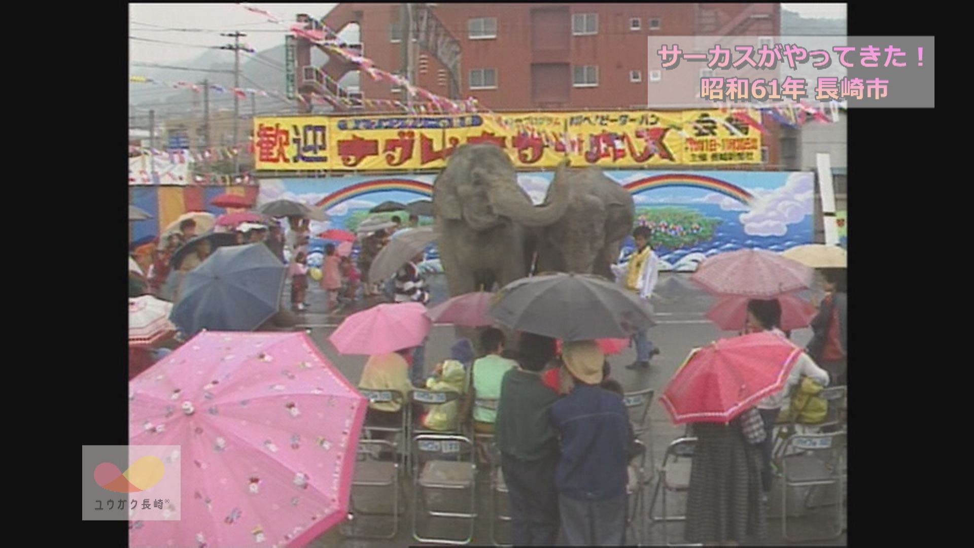 サーカスが長崎にやってきた！ ～市民と交歓会・ゾウに大興奮～イメージ